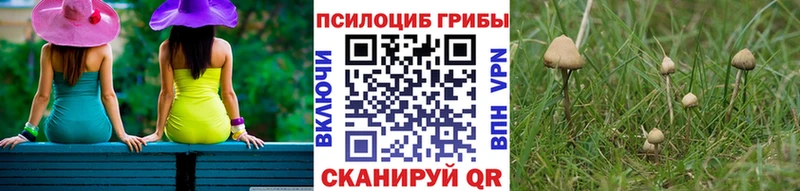 Купить закладки  Чебаркуль  Псилоцибиновые грибы Cubensis 