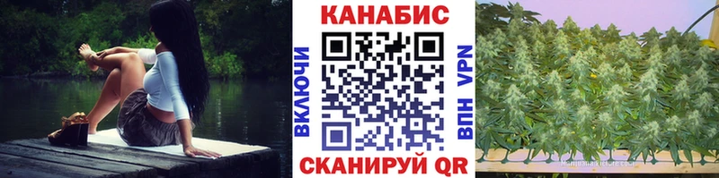 Купить  Чебаркуль  МАРИХУАНА планчик 